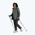 Încălțăminte de drumeție pentru femei Jack Wolfskin Wild Hike Texapore Mid oyster 9