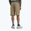 Pantaloni scurți de trekking pentru bărbați Jack Wolfskin Duneland hazel wood 3