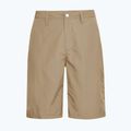 Pantaloni scurți de trekking pentru bărbați Jack Wolfskin Duneland hazel wood 8