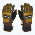 Mănuși de schi pentru bărbați  ZIENER Guard GTX + Gore Grip PR alpine dark/brown 4