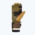 Mănuși de schi pentru bărbați  ZIENER Guard GTX + Gore Grip PR alpine dark/brown 9