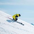 Geacă de schi pentru bărbați Descente Insulated giant yellow 12