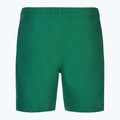 Pantaloni scurți de înot pentru bărbați Nike Essential 7" Volley bicoastal 2