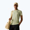Tricou de trekking pentru bărbați REGATTA Breezed light sage
