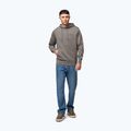 Bluză pentru bărbați Pitbull Sampson Hooded Sweatshirt taupe 2