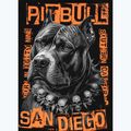 Bluză pentru bărbați Pitbull Blacky Hooded black 7