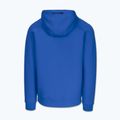 Bluză pentru bărbați Pitbull Dogwood Hooded Sweatshirt imperial blue 5