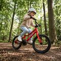 Bicicleta pentru copii ATTABO EASE 16" roșu 6