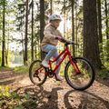 Bicicleta pentru copii ATTABO EASE 20" roșu 4
