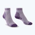 Șosete pentru femei Bridgedale Hike Lightweight Performance Ankle heather/damson