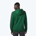 Tricou de trekking pentru bărbați Helly Hansen F2F F2F Hoodie din bumbac organic malachite 2