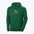 Tricou de trekking pentru bărbați Helly Hansen F2F F2F Hoodie din bumbac organic malachite 4