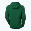 Tricou de trekking pentru bărbați Helly Hansen F2F F2F Hoodie din bumbac organic malachite 5