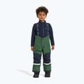 Set de schi pentru copii Didriksons Skare pine green 10