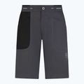 La Sportiva Ecstatic gri, pantaloni scurți de alpinism pentru bărbați N64900999 5