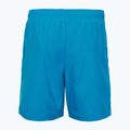 Șort de înot pentru bărbați Oakley Clear Lake 18" Volley swimming blue 2