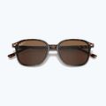 Ochelari de soare Ray-Ban Leonard tortoise/brown polarized 3