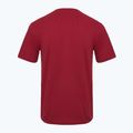 Tricou pentru bărbați Aeronautica Militare Essential burgundy 2