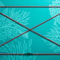 SUP ABSTRACT Coral Coral 10'6''' bord topaz 3