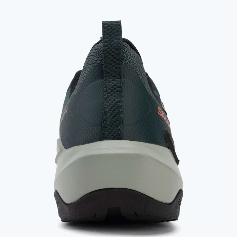Încălțăminte de drumeție pentru bărbați Salomon Elixir Activ GTX scarab/green gable 6