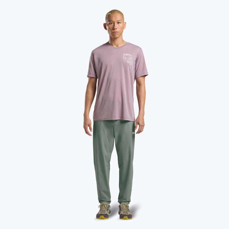 Pantaloni de trekking pentru bărbați Jack Wolfskin Hikeout slate green 2