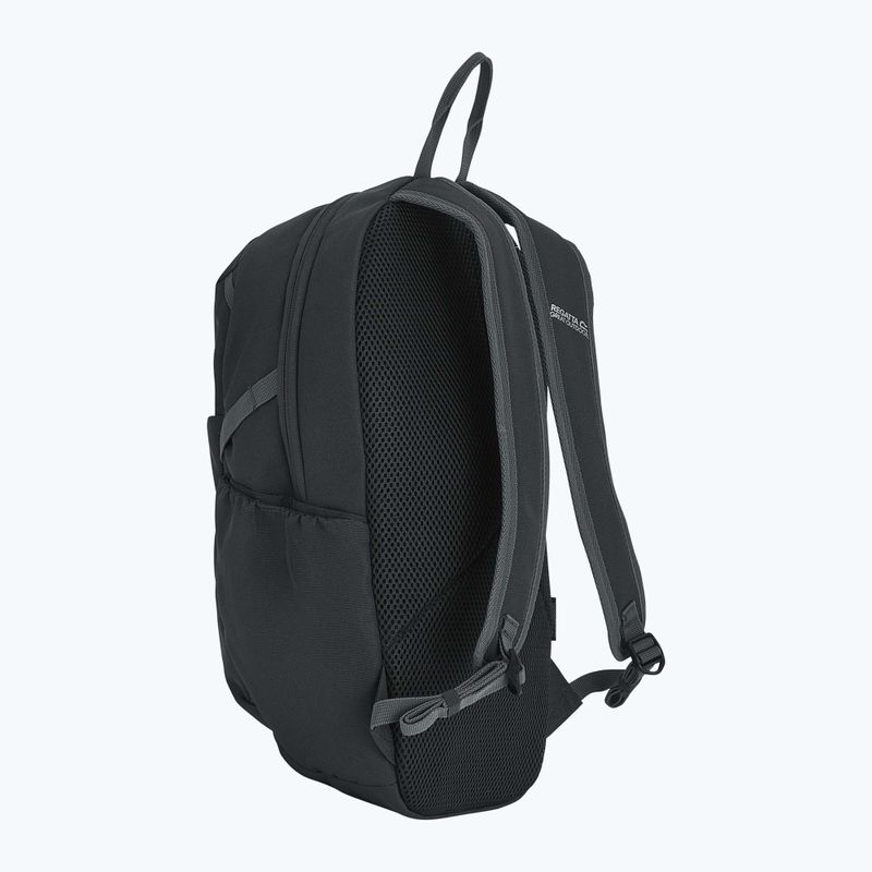 Rucsac de oraș REGATTA Everyday Prism 15 l ash 3