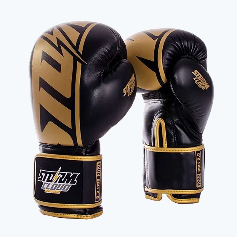 Mănuși de box StormCloud Bolt 2 2