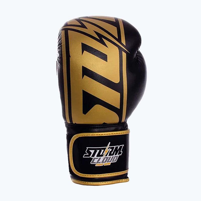 Mănuși de box StormCloud Bolt 2 3