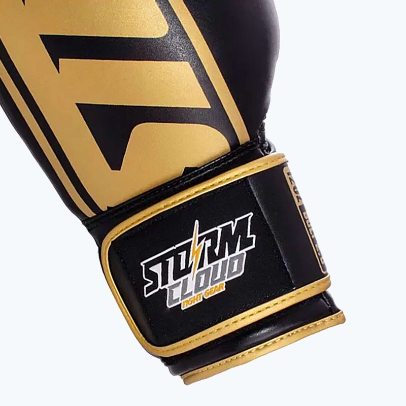 Mănuși de box StormCloud Bolt 2 11