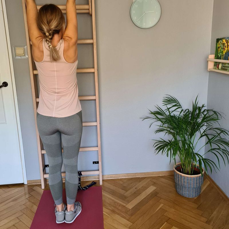 BenchK bronz scara de gimnastică de bronz BK-111 10