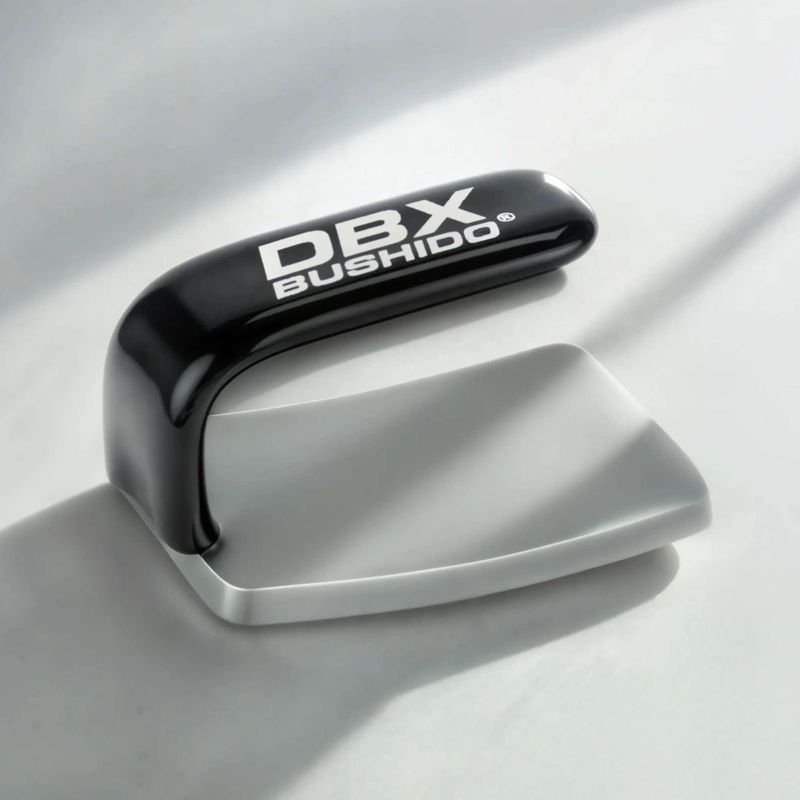 Fier de box DBX BUSHIDO Ferro black/silver 4