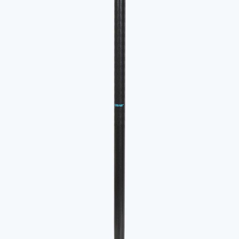 Bețe de schi HEAD Frontside carbon black/speed blue 4
