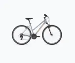 Biciclete de cross/fitness