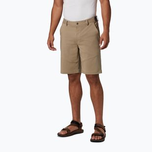 Columbia Tech Trail 221 pantaloni scurți de trekking pentru bărbați 1883371