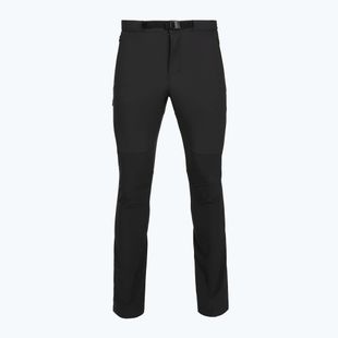 Pantaloni de trekking pentru bărbați Patagonia Terravia Alpine black