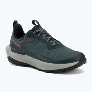 Încălțăminte de drumeție pentru bărbați Salomon Elixir Activ GTX scarab/green gable