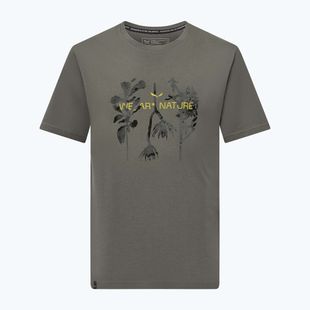 Bărbați Salewa Eagle Nature faded verde T-shirt
