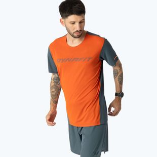 Tricou de alergare pentru bărbați DYNAFIT Alpine 2 Alabama