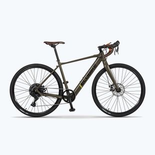 EcoBike Forest/9.7Ah bicicletă electrică verde 1010502