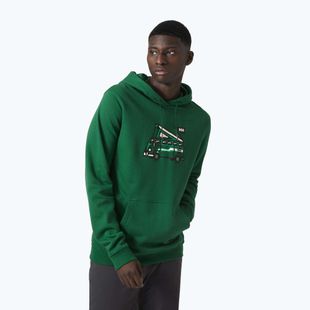 Tricou de trekking pentru bărbați Helly Hansen F2F F2F Hoodie din bumbac organic malachite