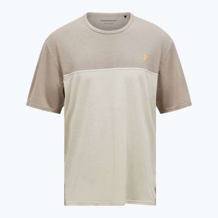 Tricou pentru bărbați Peak Performance Trail Wool Blend avid beige/sand fog